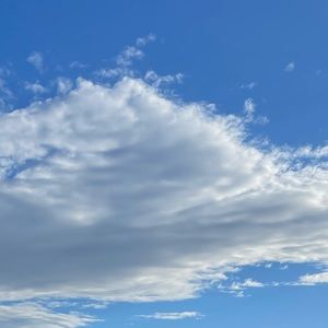 Meet your Posher, Jade